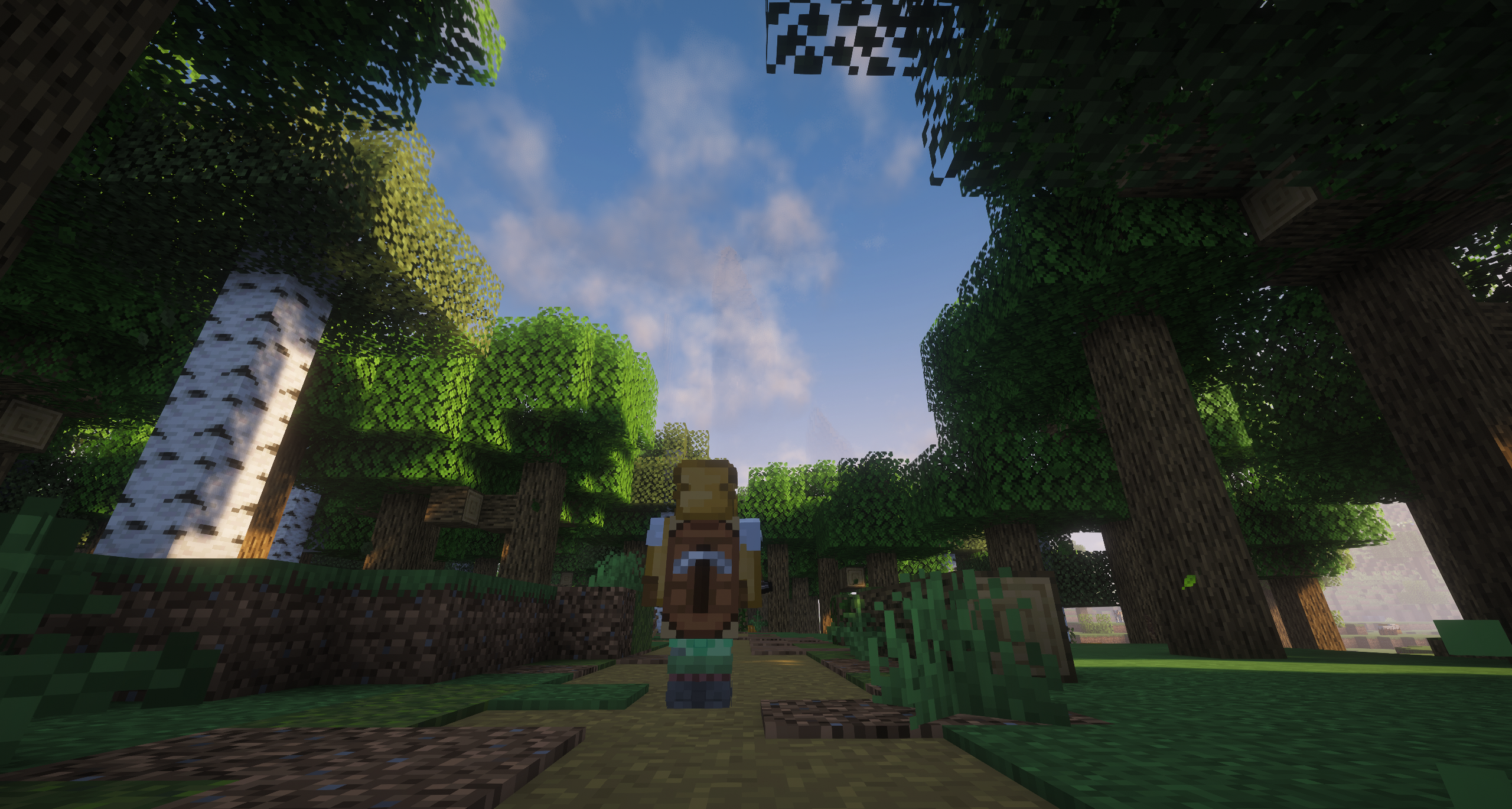 Seasons SMP gameplay screenshot